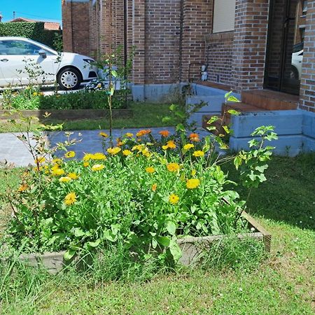 Casa Grande Con Jardin Villa Santa Cruz De Bezana Ngoại thất bức ảnh